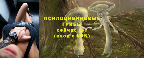 таблы Алексин