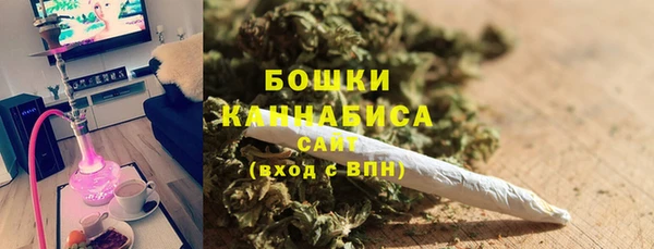 сатива Михайлов