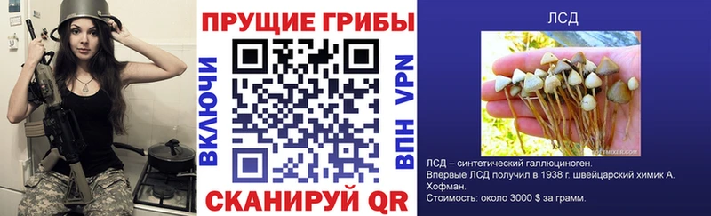 Галлюциногенные грибы Magic Shrooms  shop как зайти  Саянск 